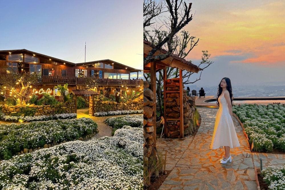 Qu&aacute;n bố tr&iacute; nhiều tiểu cảnh, nổi bật l&agrave; vườn hoa c&uacute;c trắng v&agrave; view n&uacute;i non hữu t&igrave;nh, thơ mộng (Nguồn: Fanpage Lời Của Gi&oacute;)